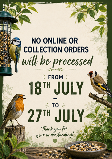no website orders